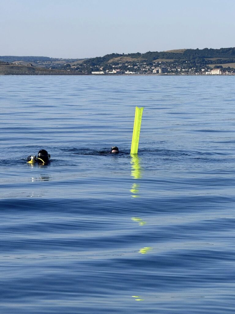 surface divers
