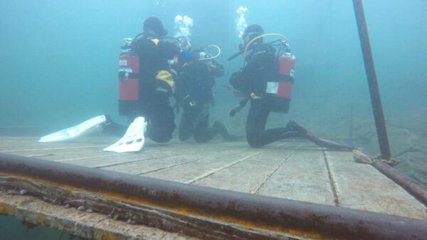 Learning to Dive!